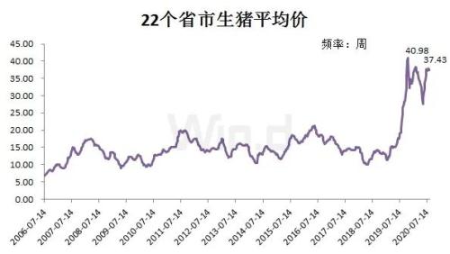 現在養一頭豬賺近2000塊!可2年后豬肉將跌破10元,甚至4-5塊?