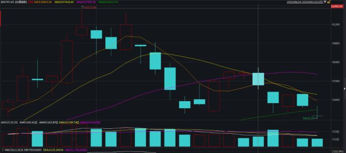 中紀委發文！白酒股“瑟瑟發抖” 機構：持續堅定推薦白酒板塊