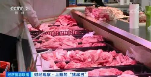 豬肉價格反彈，1頭豬利潤＝2瓶茅臺酒？