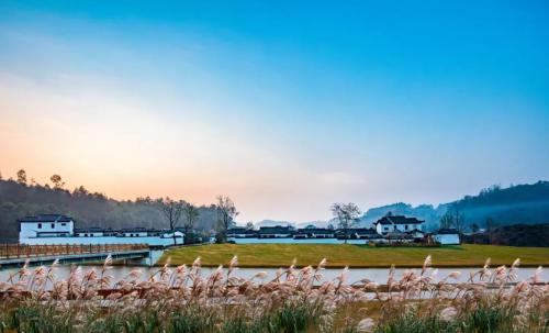 合景泰富25周年記： 特色城鎮的新探索 云上的美好生活