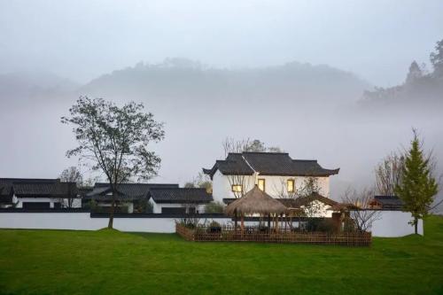 合景泰富25周年記： 特色城鎮的新探索 云上的美好生活