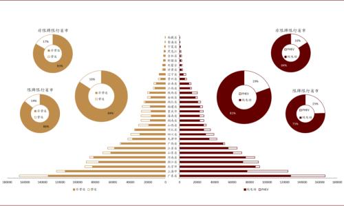 中金：新能源汽車2020先抑后揚；2021智能加速