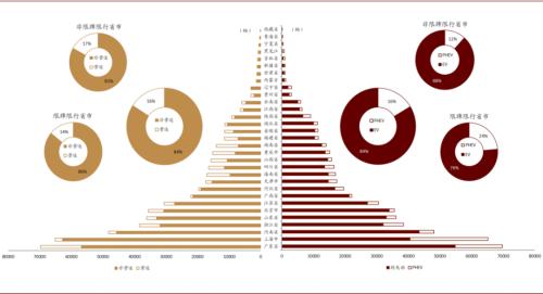 中金：新能源汽車2020先抑后揚；2021智能加速