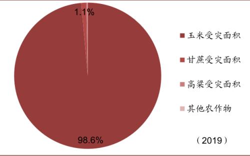 中金 | 糧食安全:糧安天下,創新護航長期發展