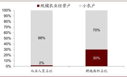 中金 | 糧食安全:糧安天下,創新護航長期發展