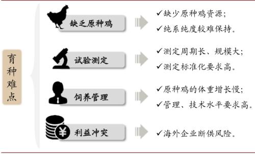 中金 | 糧食安全:糧安天下,創新護航長期發展