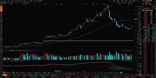 輔料價格已有所松動,光伏板塊可以關(guān)注什么?