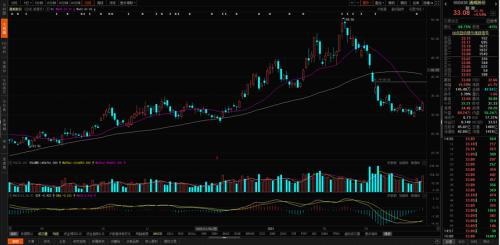 輔料價格已有所松動,光伏板塊可以關(guān)注什么?