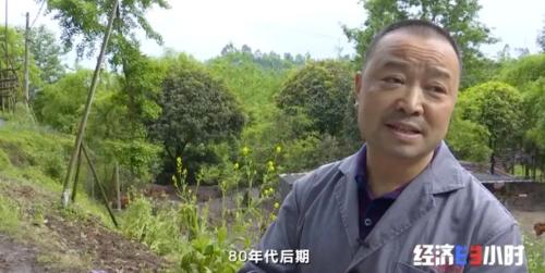 8個品種本土種豬滅絕!我們餐桌多為“外來豬”?!本土“二師兄”去哪了?